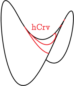 sCrv